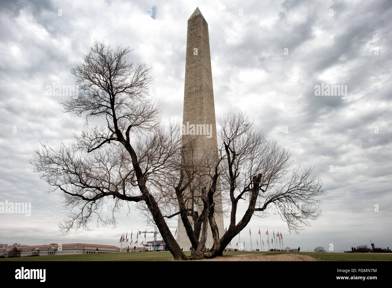 Washington Monument National Mall Washington DC // WASHINGTON DC - il Washington Monument si trova in cima al National Mall. Completato nel 1884, questo imponente obelisco, progettato da Robert Mills, onora George Washington. Con i suoi 555 piedi, 1/8 pollici, era l'edificio più alto del mondo al suo completamento. Foto Stock