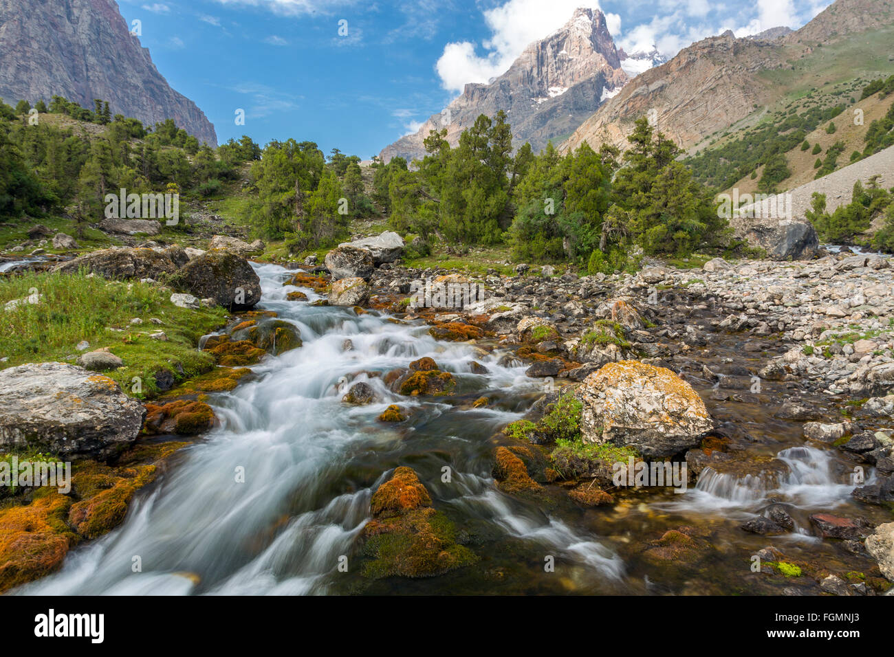 Ruscelli di montagna in rapido movimento Foto Stock