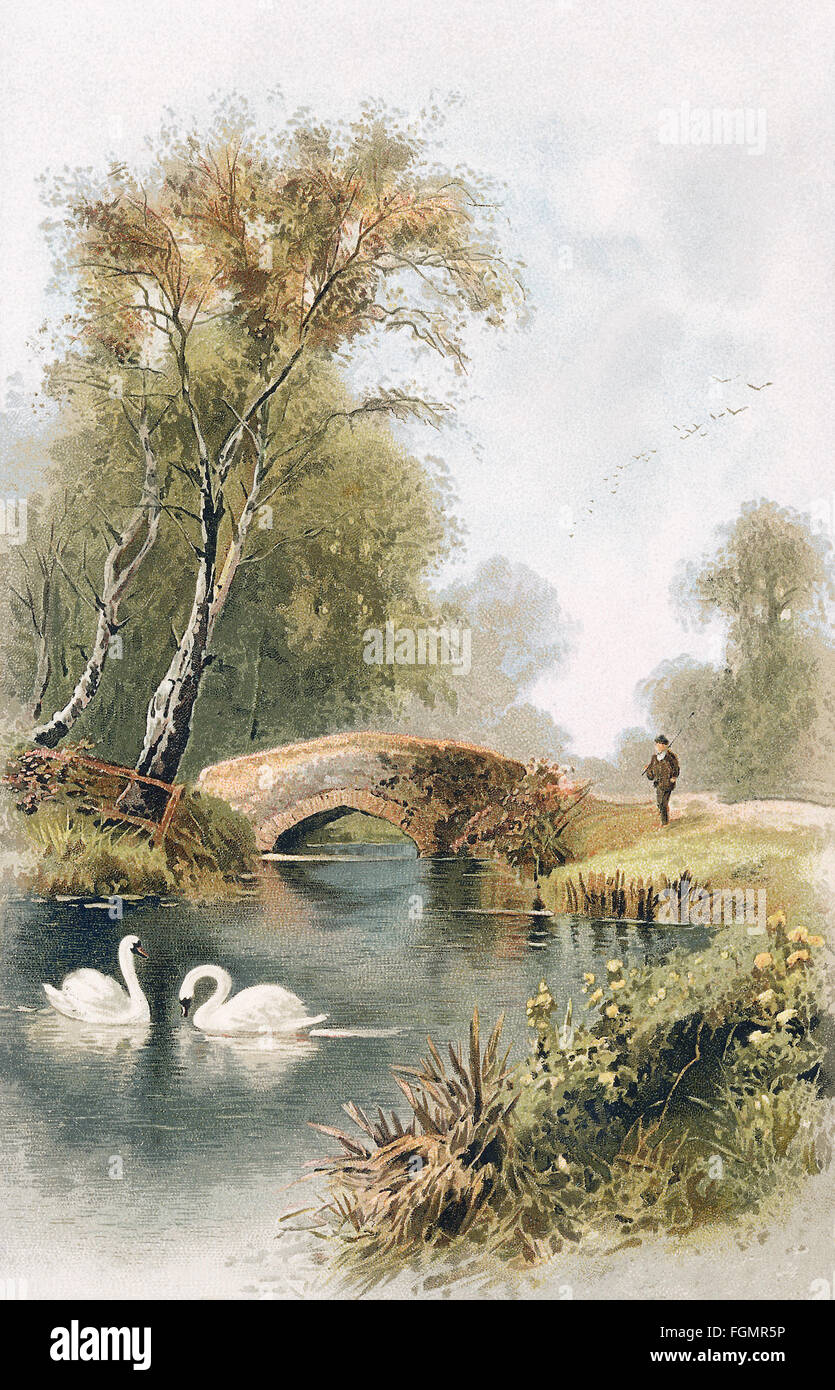Idilliaco fiume rurale scena con cigni e un vecchio ponte. Foto Stock