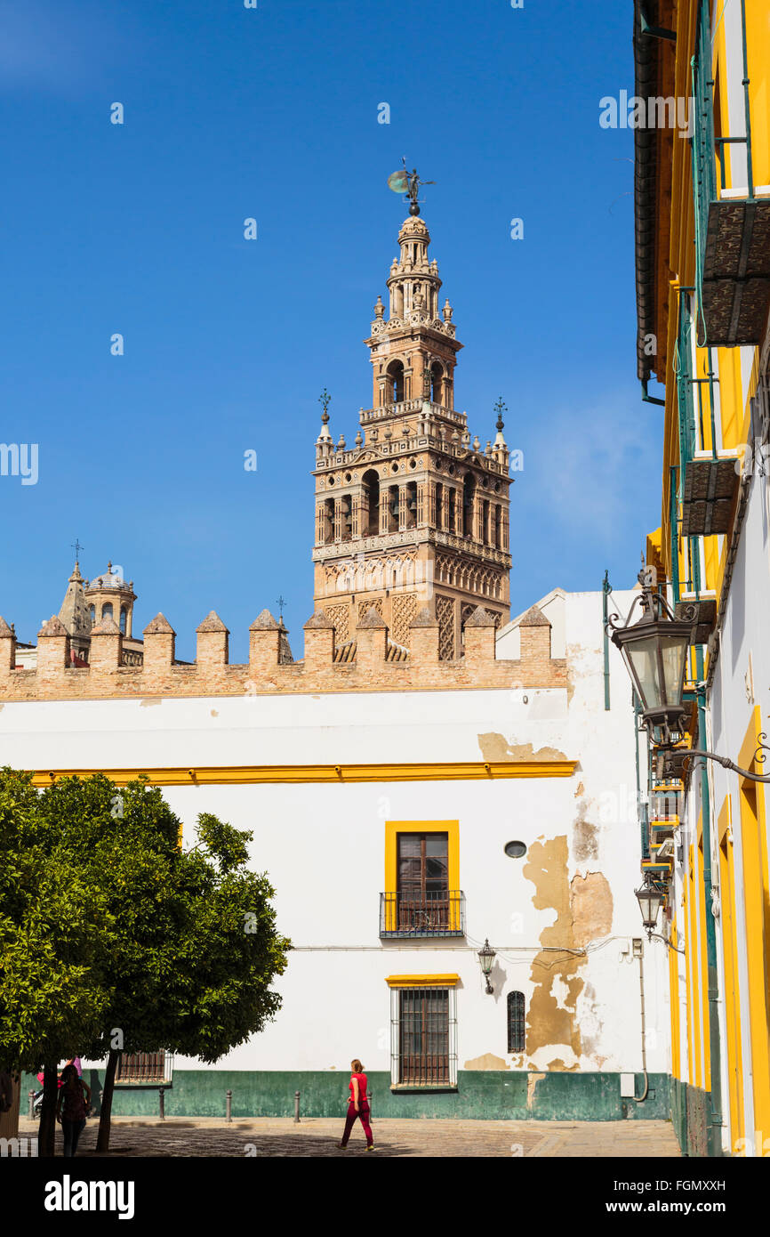 Siviglia, provincia di Siviglia, in Andalusia Spagna meridionale. Torre Giralda visto dal Patio de Banderas. Foto Stock
