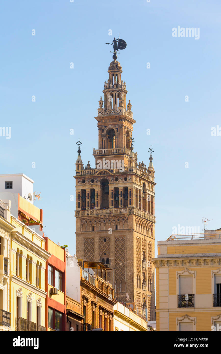 Siviglia, provincia di Siviglia, in Andalusia Spagna meridionale. La torre Giralda visto da Plaza San Francisco. Foto Stock