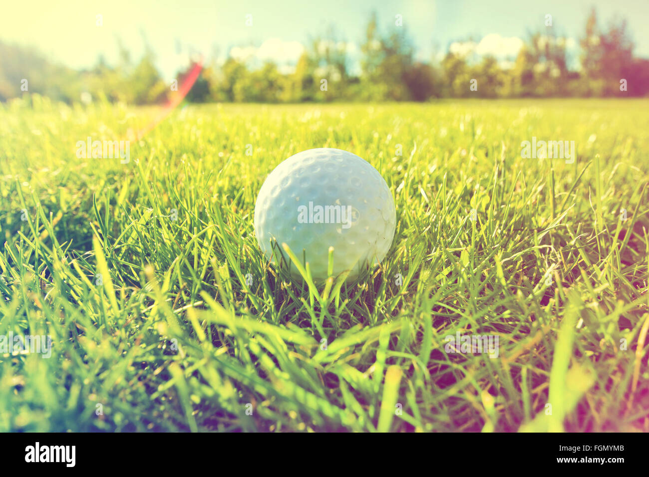 Gioco di golf. Palline da golf in erba. Instagram foto d'epoca. Foto Stock