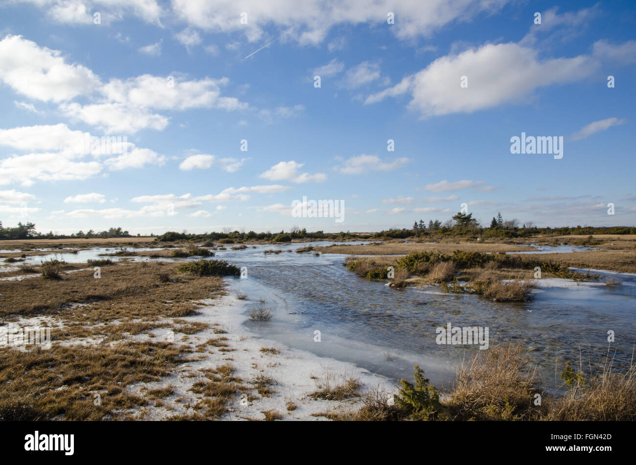 La primavera con le alluvioni e le acque di streaming a una grande pianura pascoli presso l'isola svedese Oland Foto Stock