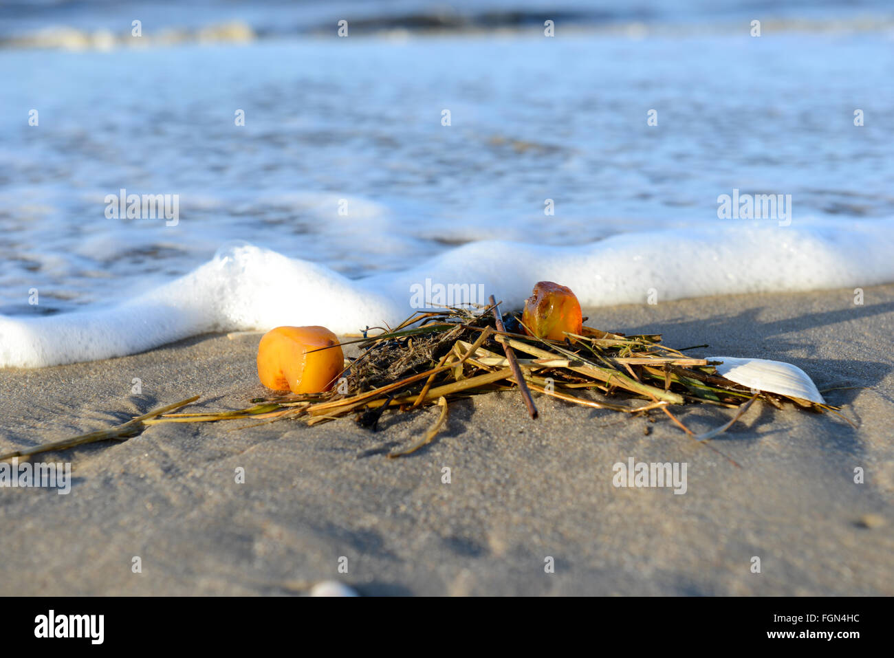 Giallo ambra sulla spiaggia Foto Stock