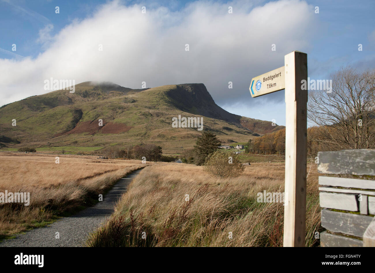 Y Garn il lato nord della cresta Nantlle dal percorso di Beddgelert a Rhyd-Ddu Snowdonia Gwynedd Galles del Nord Foto Stock