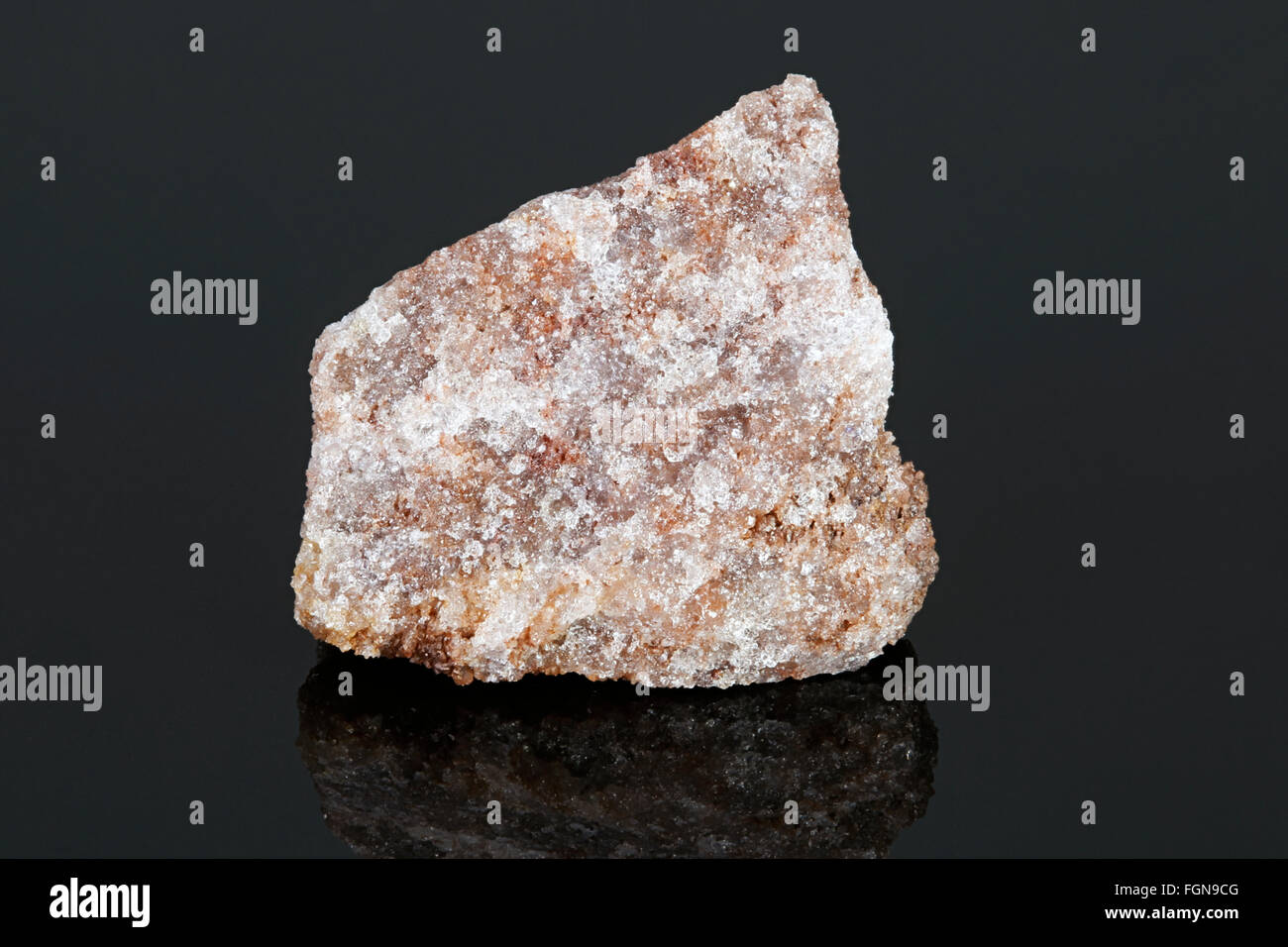 Orthoquartzite (Clastico roccia sedimentaria) arenaria di quarzo Foto Stock