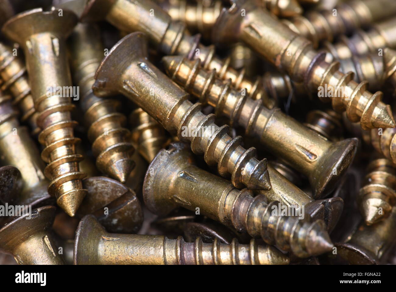 Primo piano delle viti in ottone Foto Stock