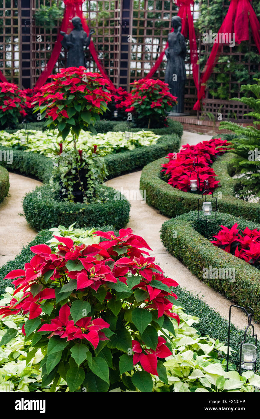 Festa di Natale del giardino a display Phipps Conservatorio, Pittsburgh, Pennsylvania Foto Stock