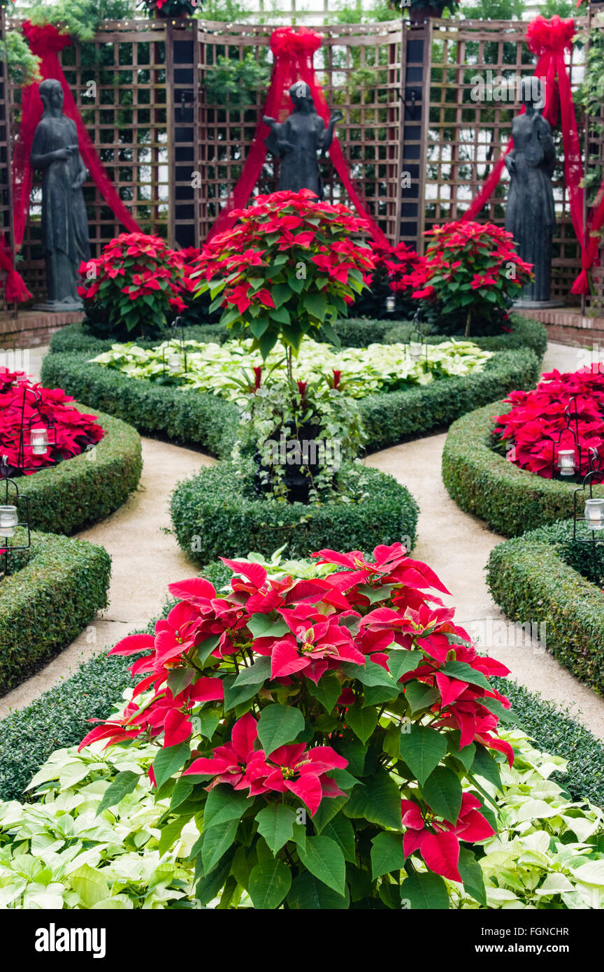 Festa di Natale del giardino a display Phipps Conservatorio, Pittsburgh, Pennsylvania Foto Stock