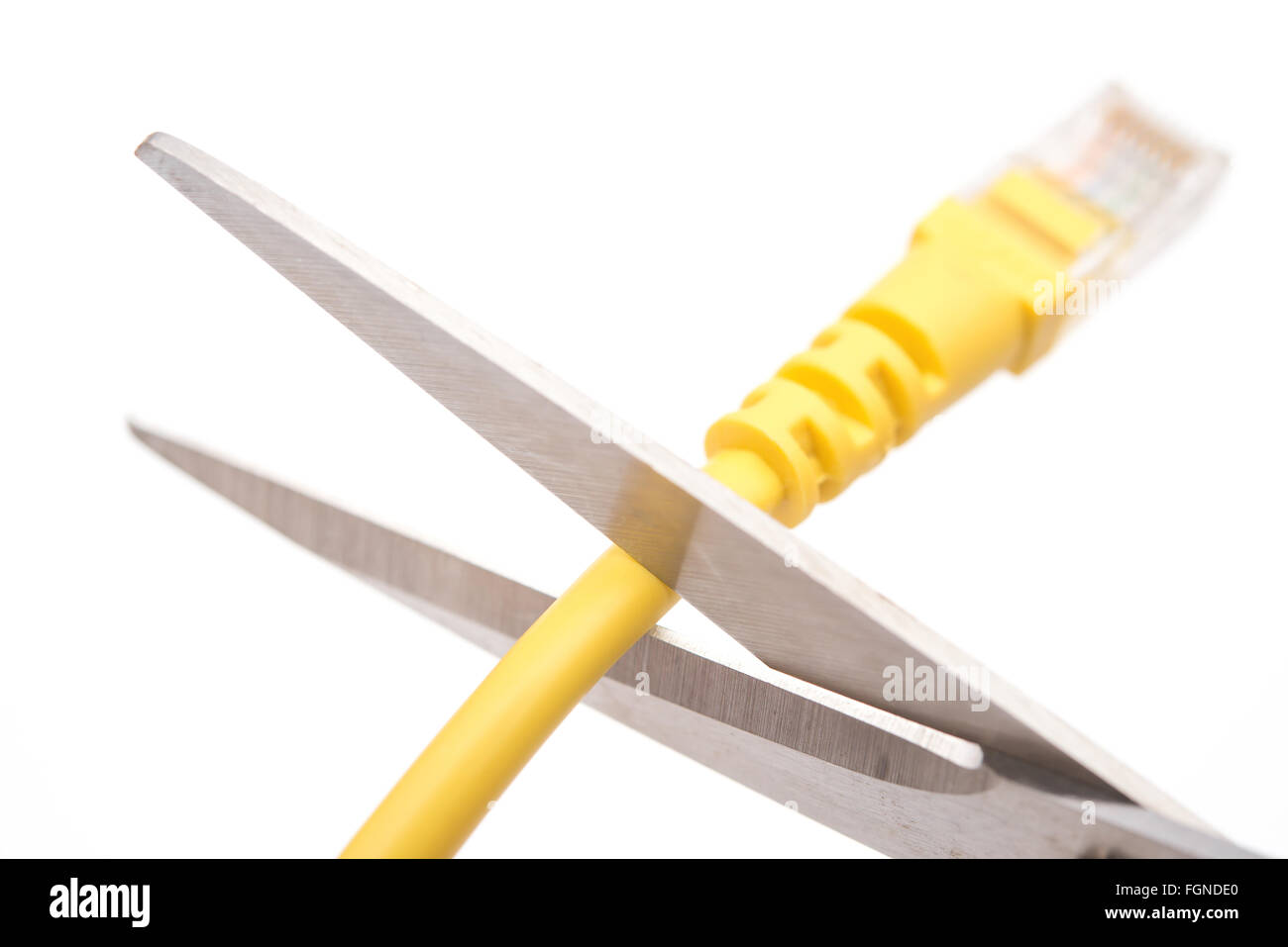 Il taglio di un cavo di rete di colore giallo con le forbici su bianco Foto Stock