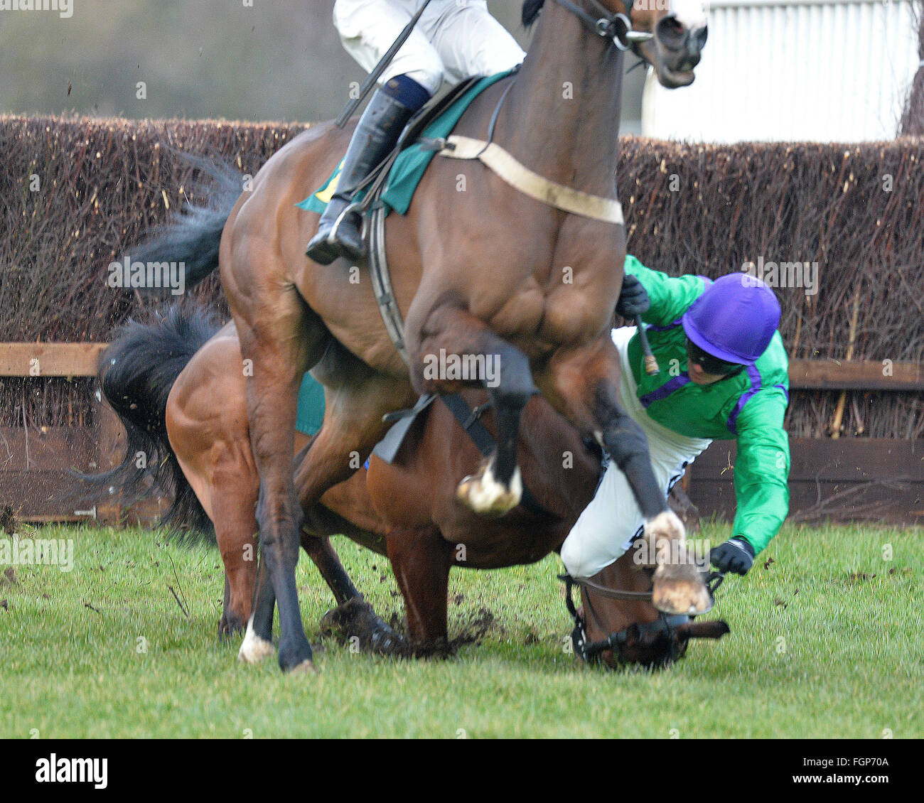 Fakenham nazionale gara di suoneria incontro Norfolk 17.02.16 Richard McLennon cade dal Rock N ritmica durante una corsa ad ostacoli salta gara Foto Stock