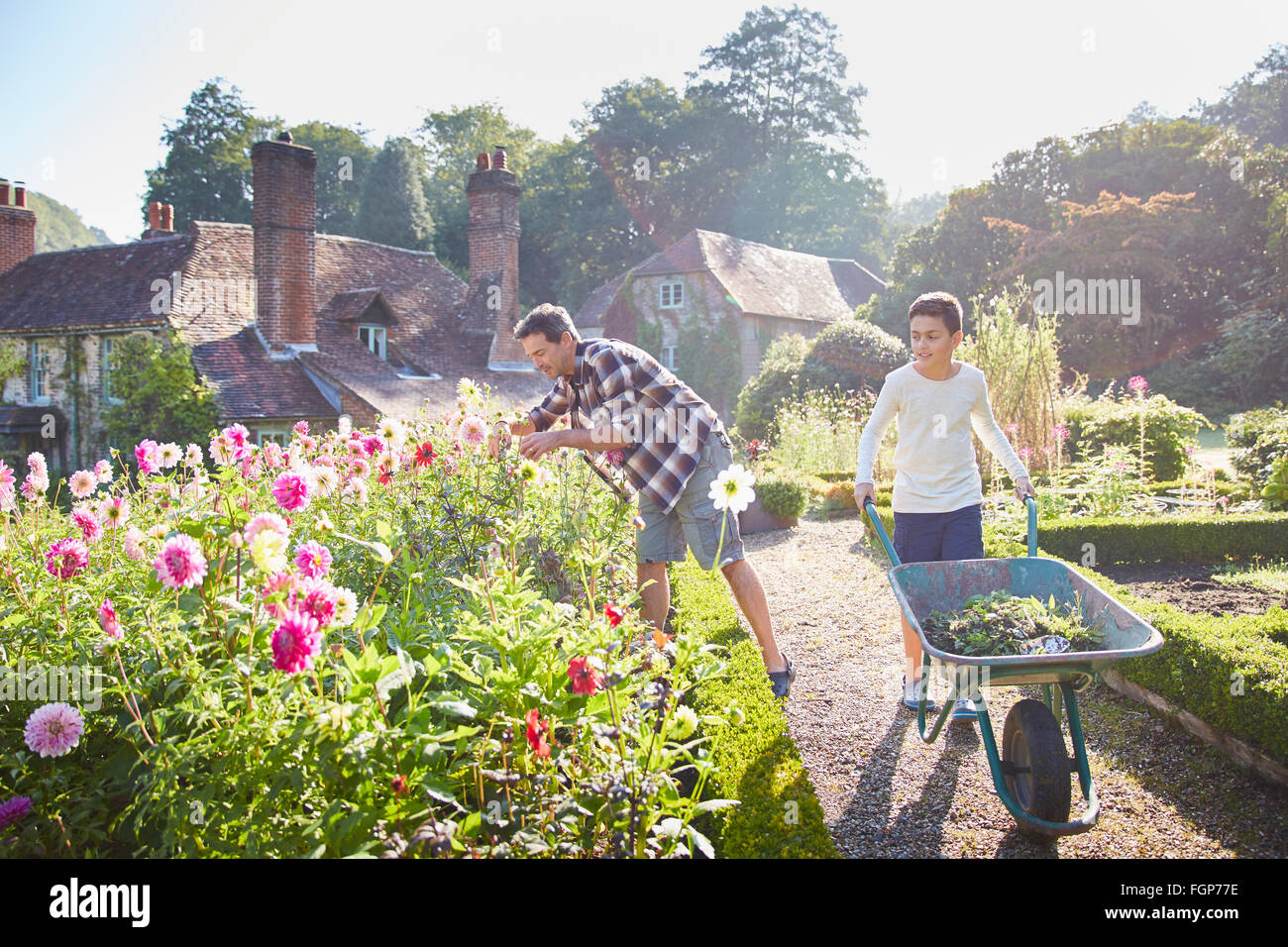 Padre e figlio del giardinaggio nel soleggiato giardino fiorito Foto Stock