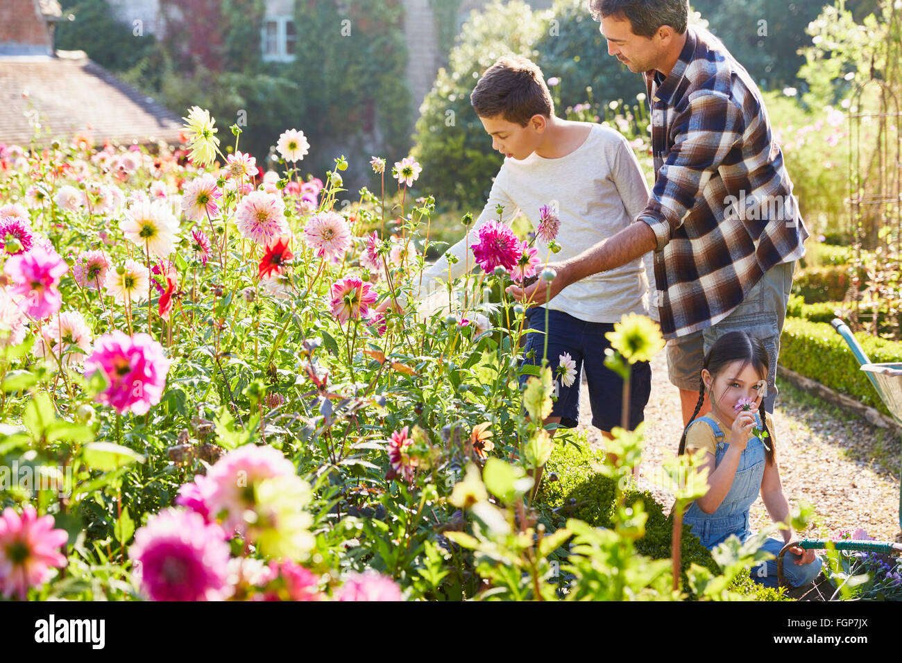 Padre e figlio a caccia di fiori nel giardino soleggiato Foto Stock