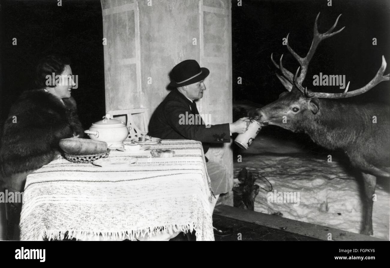 Stranezze, coppia sposata in un ristorante che alimenta cervi con la tazza di birra, Baviera, Germania, circa 1953, diritti aggiuntivi-clearences-non disponibile Foto Stock
