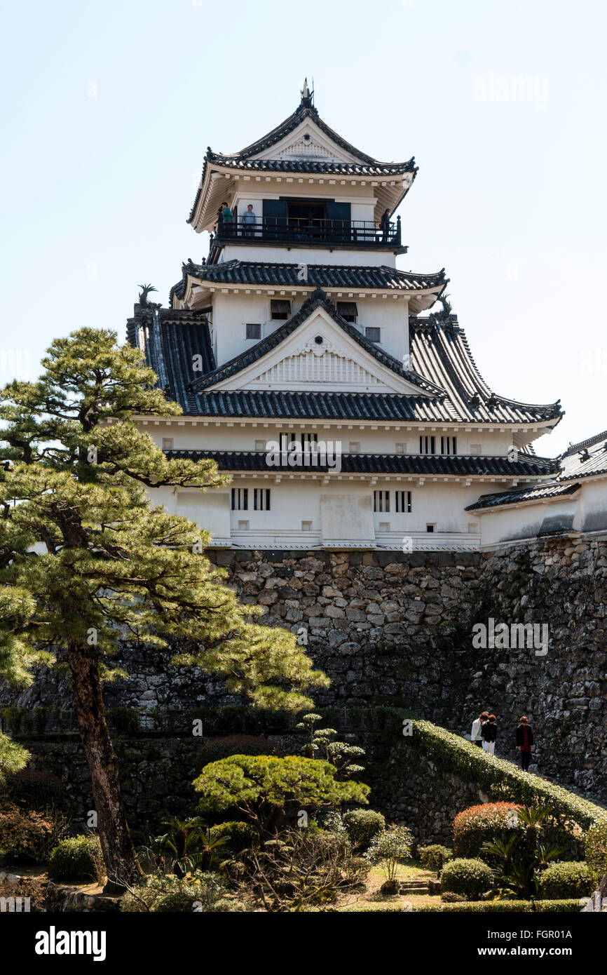 Giappone, Castello di Kochi. AKA Taka-jo. Collina originale tenere, tenshu, in stile Borogata. Cielo blu chiaro dello sfondo. Foto Stock