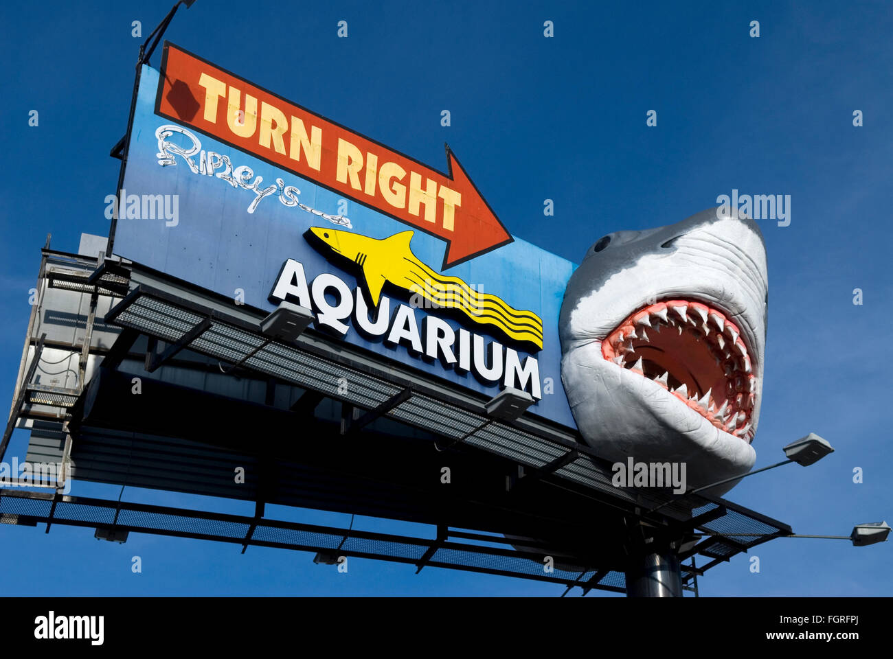 Ripley's Aquarium Billboard Myrtle Beach South Carolina USA. Foto Stock