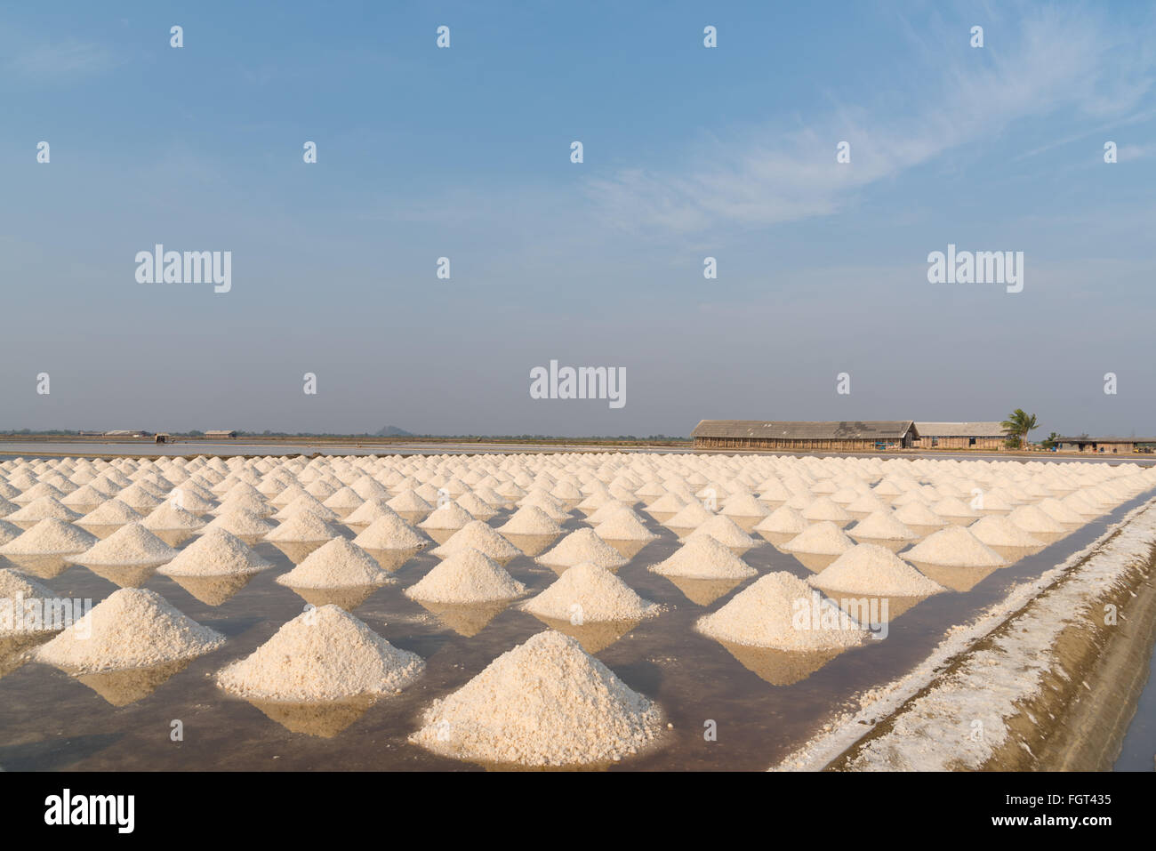 I campi di sale in Thailandia Foto Stock
