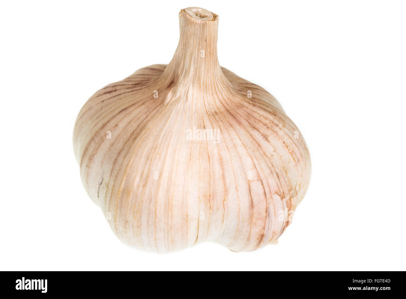 Le teste di aglio su uno sfondo bianco. Foto Stock