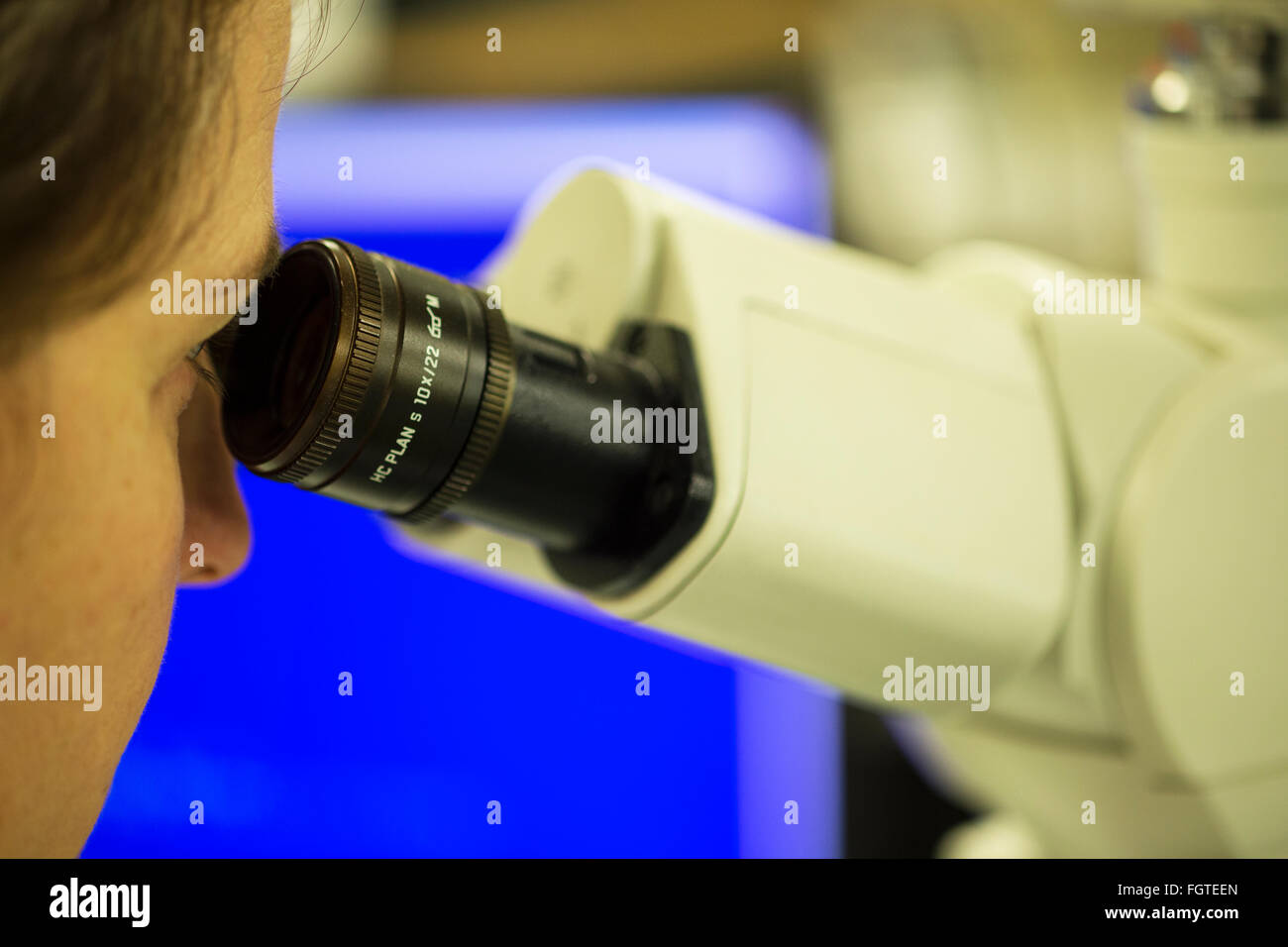 Femmina tecnico di laboratorio guardando attraverso un microscopio. Foto Stock