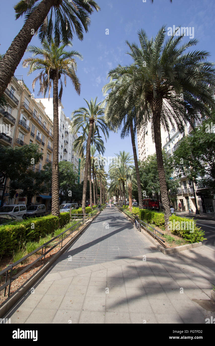 Avenida Regne de Valencia in Ruzafa distretto di Valencia, Spagna Foto Stock