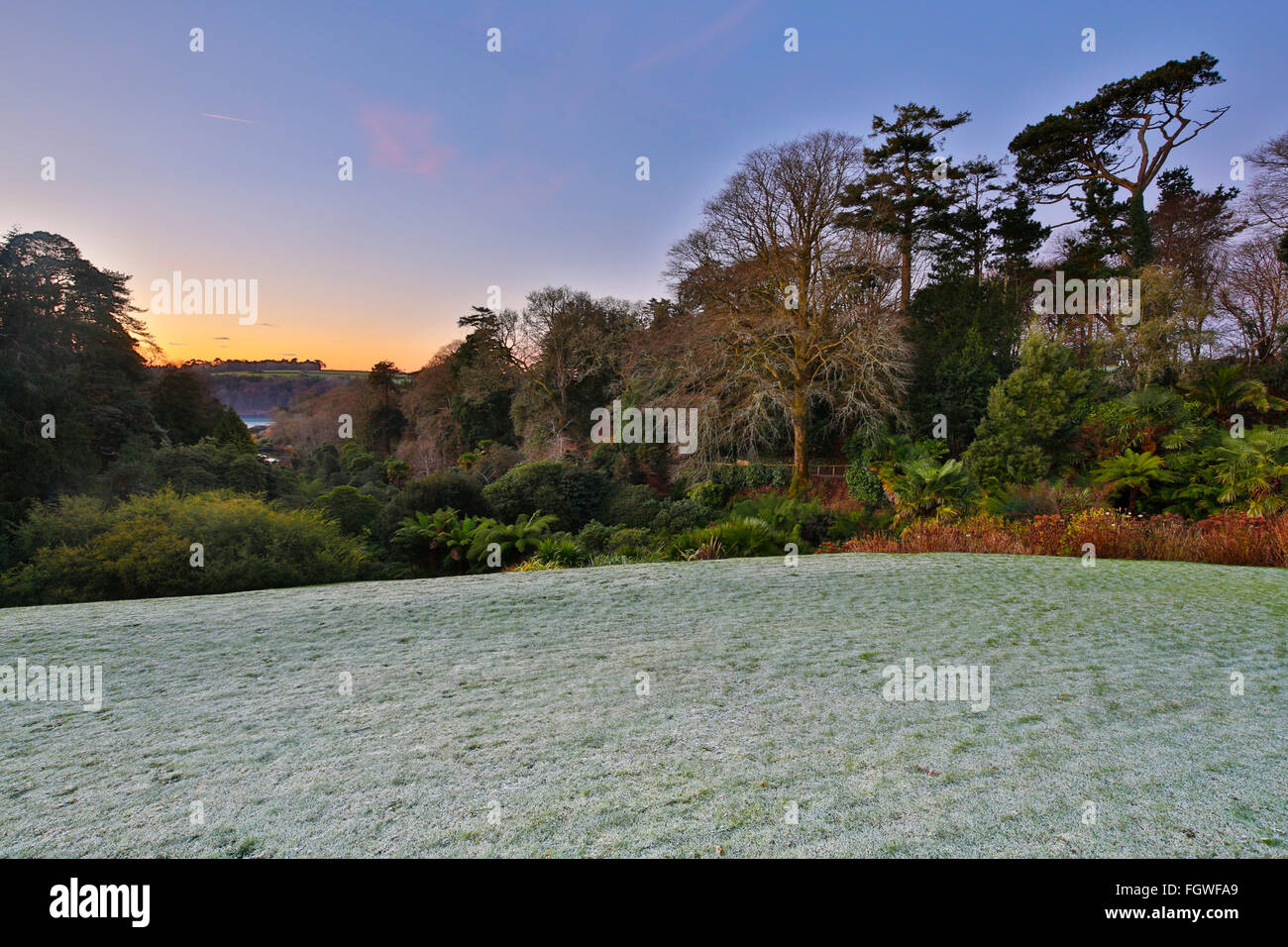 Giardino Trebah; inverno; Cornovaglia; Regno Unito Foto Stock