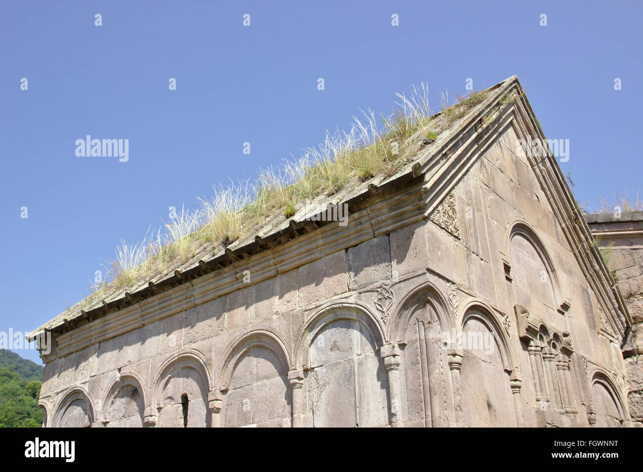 Goshavank monastero di Gosh, erba sul tetto di San Gregorio Illuminatore la Chiesa, Armenia Foto Stock