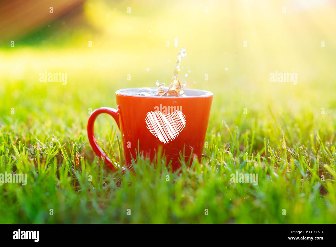 Red Mug con un cuore in piedi sull'erba nel parco Foto Stock