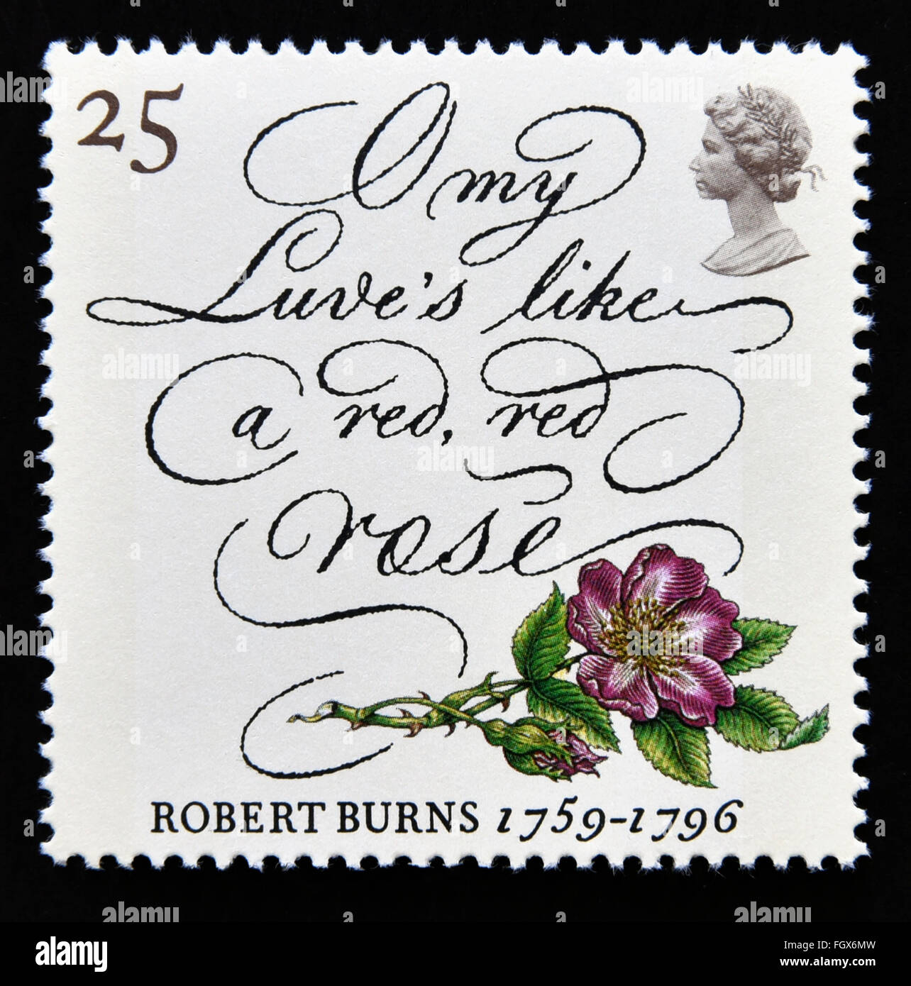 Francobollo. La Gran Bretagna. La regina Elisabetta II. 1996. Centenario della morte di Robert Burns (poeta Scozzese). 1759-1796. Foto Stock