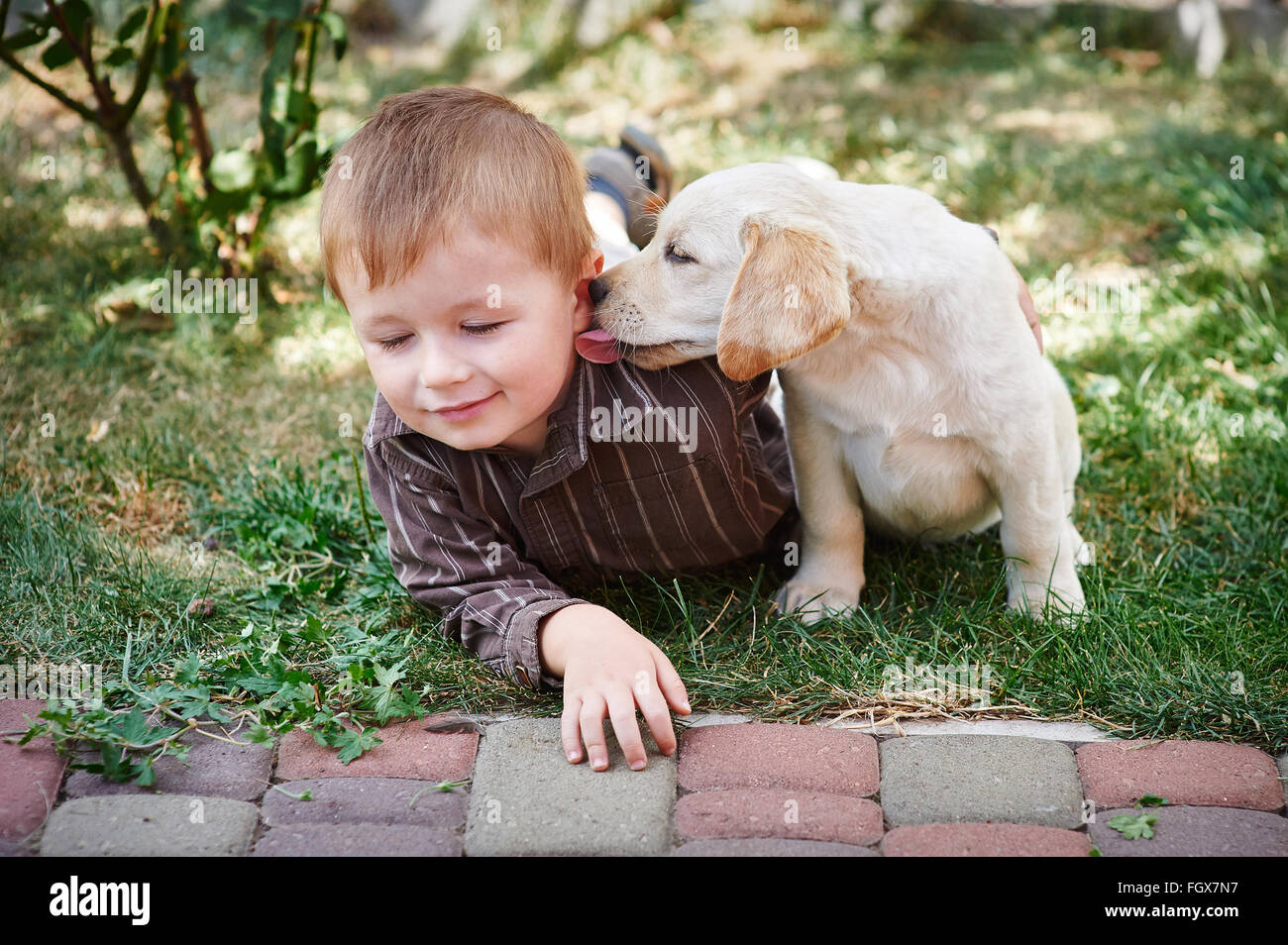 Little Boy giocando con un bianco Labrador cucciolo Foto Stock