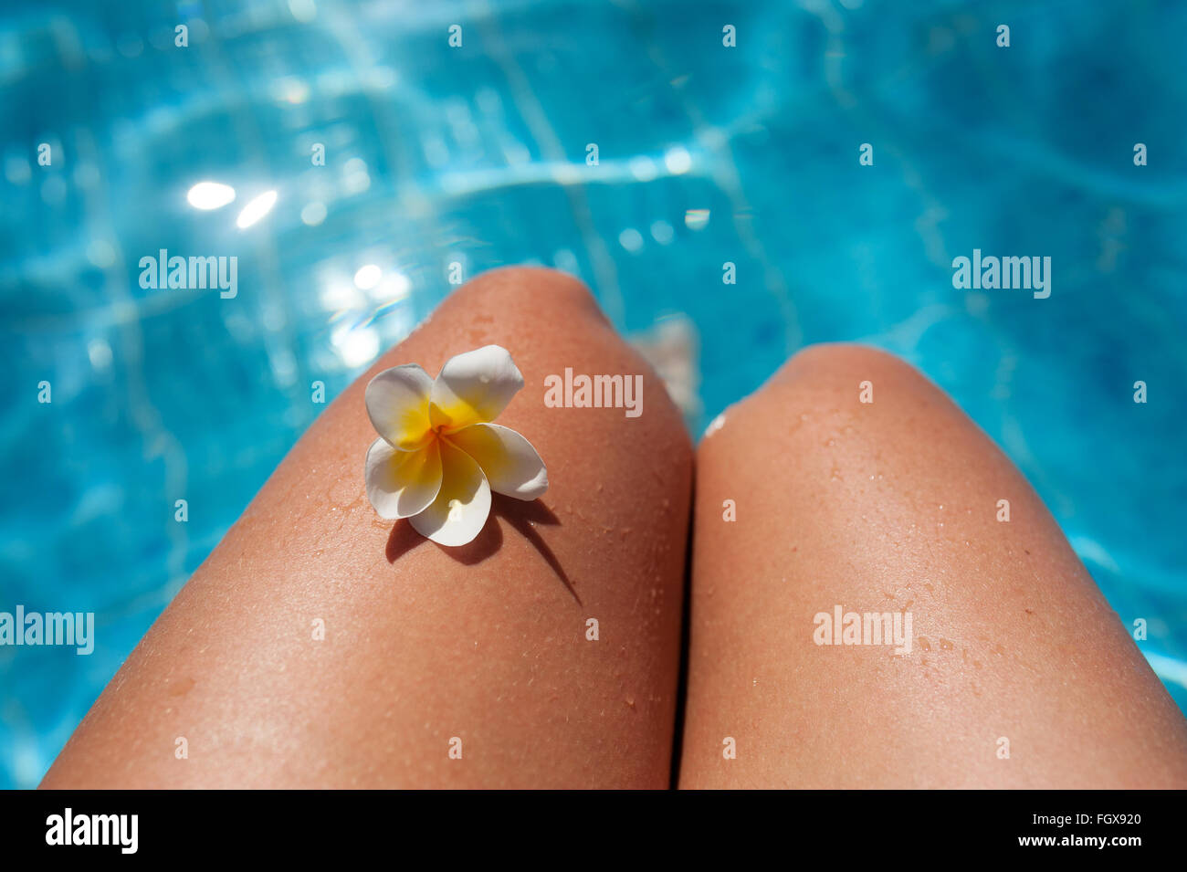 Giovane donna su uno sfondo di colore blu piscina con frangipani plumeria fiore Foto Stock