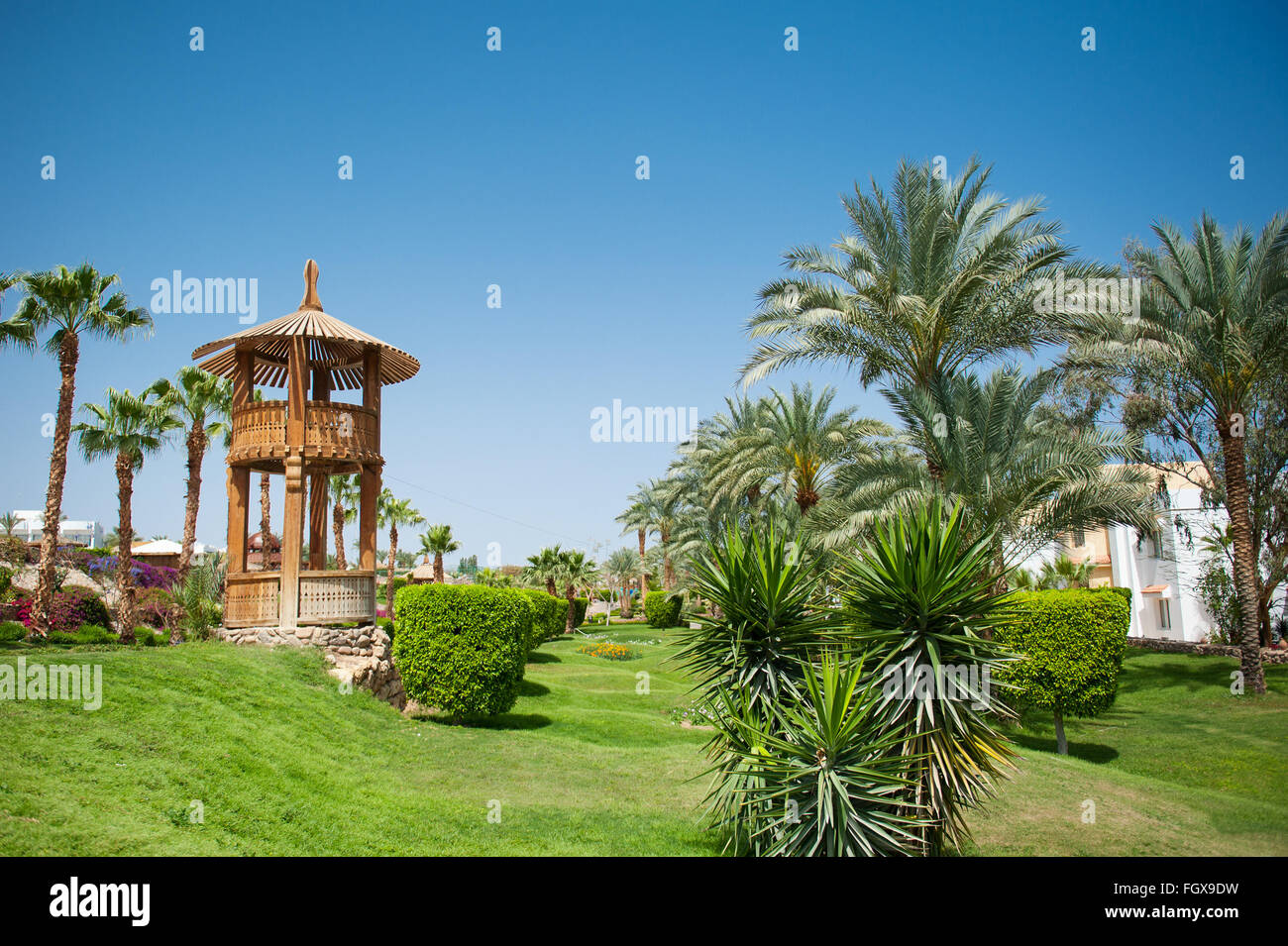Bellissima zona verde dell'hotel con palme Foto Stock