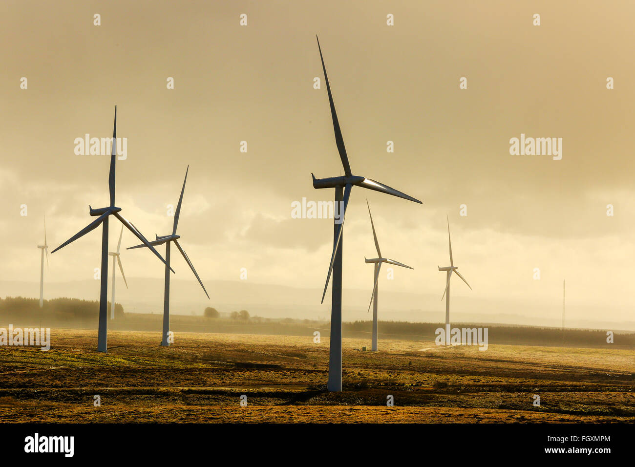 Le turbine eoliche a Whitelee Wind Farm, Eaglesham Moor, vicino a Glasgow, Scotland, Regno Unito nella nebbia di mattina Foto Stock