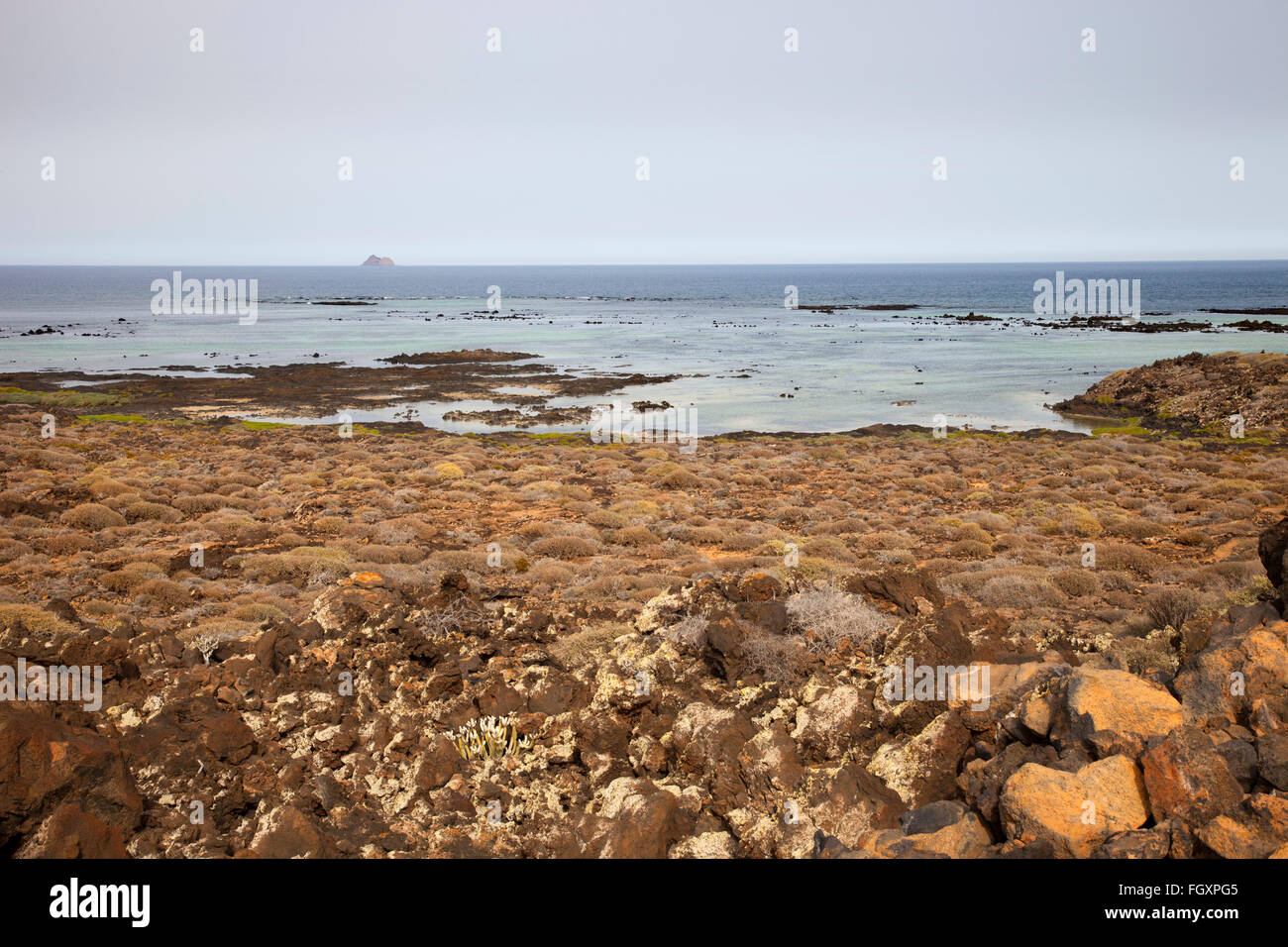 Le rocce vulcaniche e vegetazione, Malpais de la Corona area, Lanzarote, Isole canarie, Spagna, Europa Foto Stock