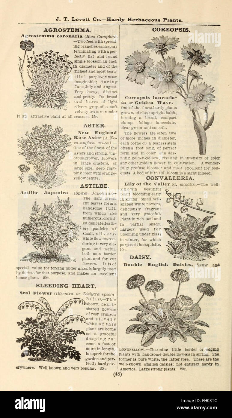 Lovett il catalogo illustrato della frutta e alberi ornamentali e impianti per l'autunno del 1891 Foto Stock