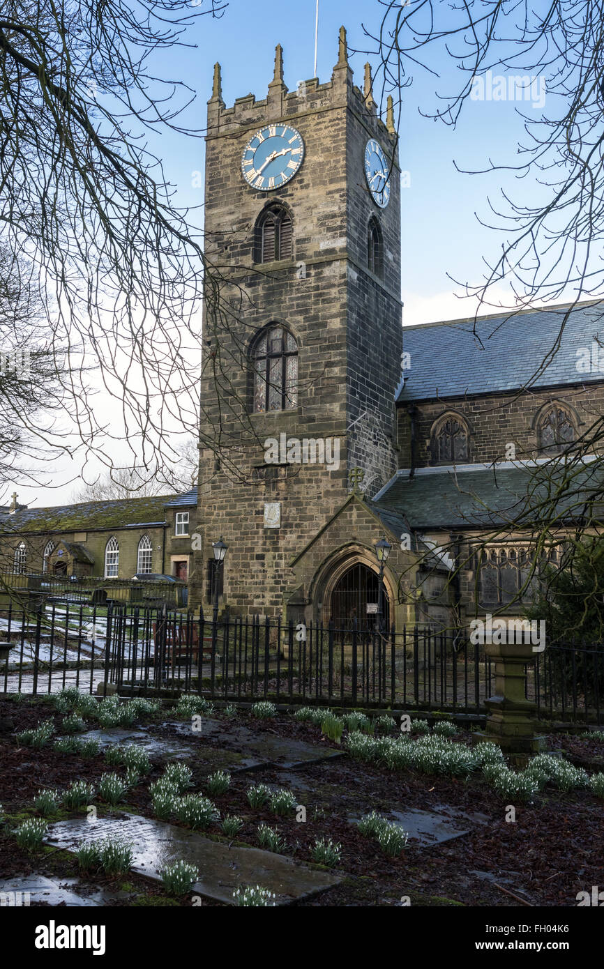 Snowdrops crescere nel sagrato della chiesa di San Michele e Tutti gli Angeli Chiesa Parrocchiale, Haworth, nel tardo inverno Foto Stock