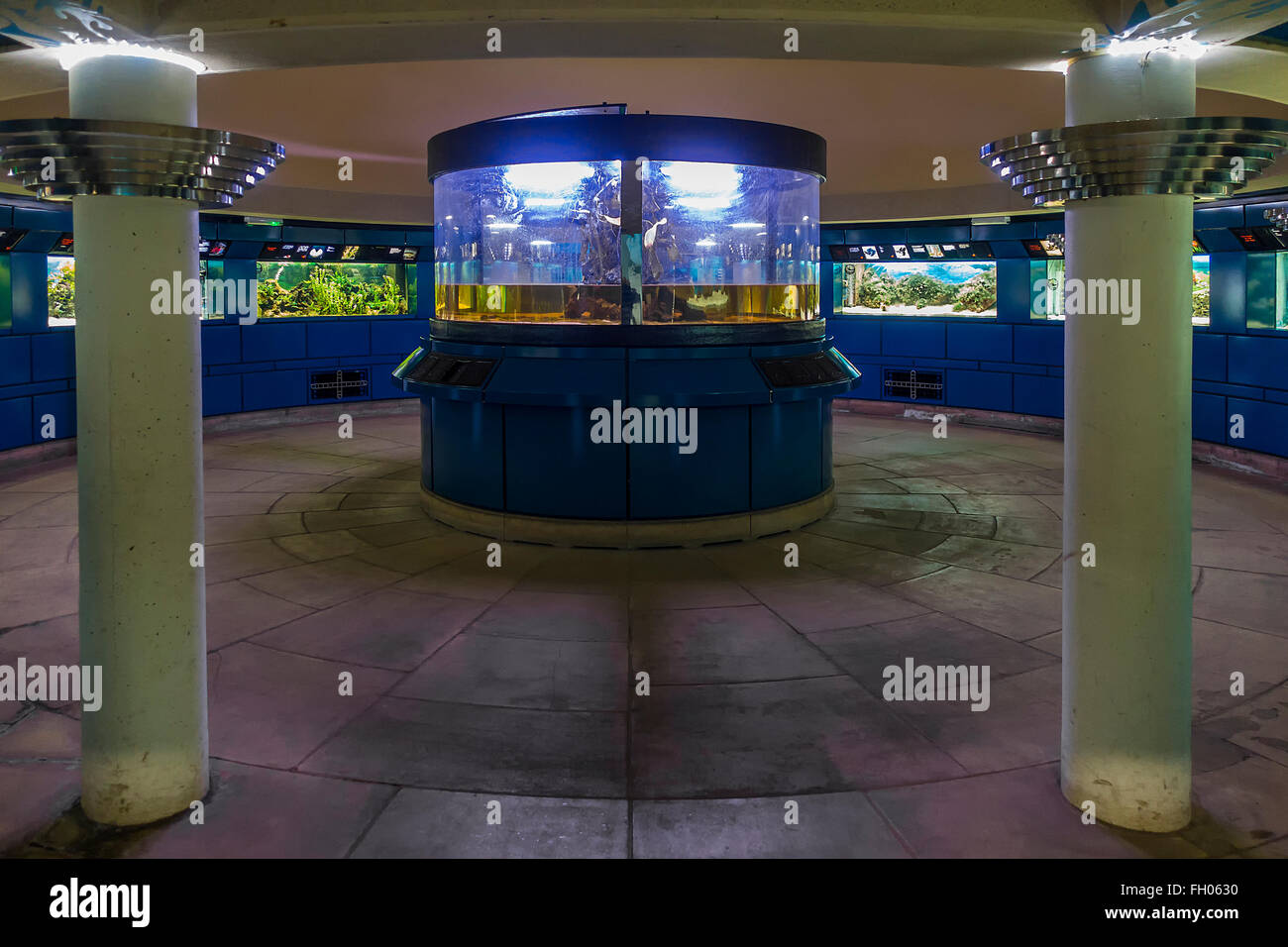 Acquario marino sotto la Casa delle Palme Kew Gardens London REGNO UNITO Foto Stock