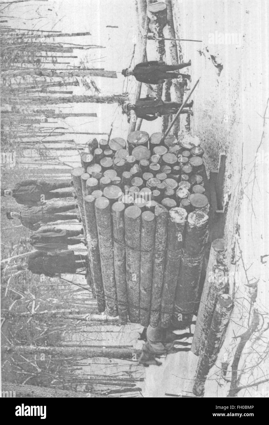 Una relazione del 1895 sugli abeti rossi neri della regione dell'Adirondack, incentrata sul loro ruolo ecologico e sulle pratiche di gestione forestale. Foto Stock