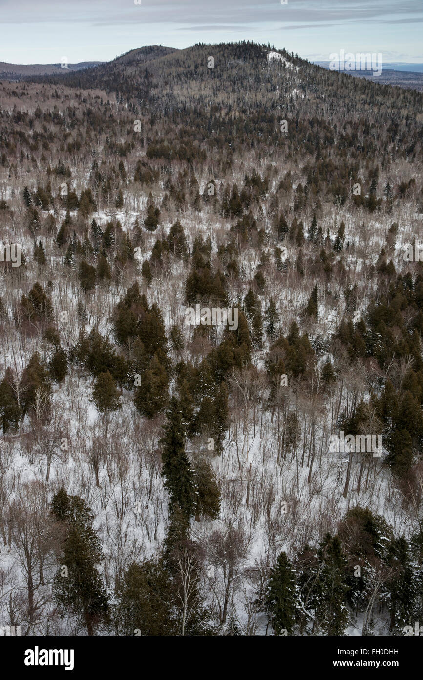 Guardando al di sopra del livello superiore della Foresta nazionale da Oberg montagna nella contea di Cook, Minnesota Foto Stock