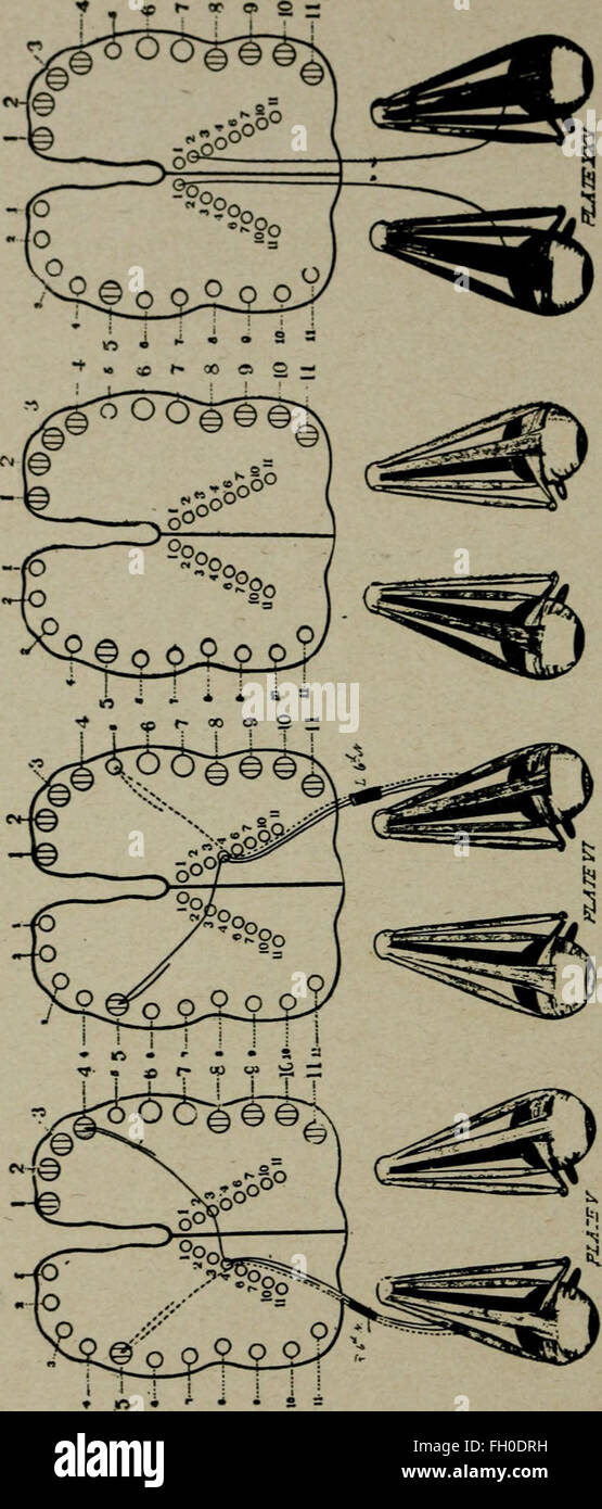 Il nervo-meccanismo muscolare degli occhi e di routine nel lavoro dell'occhio (1916) Foto Stock