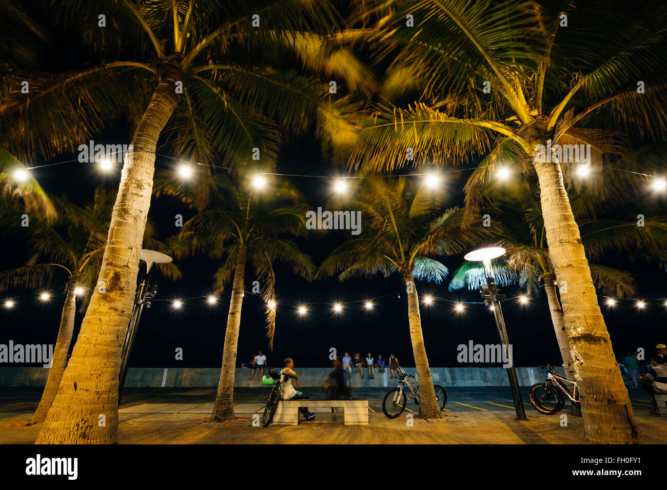 Le palme di notte, in Pasay, Metro Manila nelle Filippine. Foto Stock