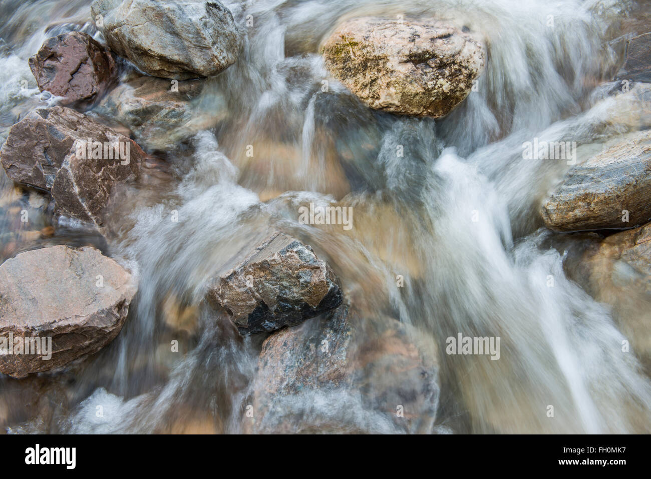 Creek che scorre veloce con acqua con rocce nel torrente. Foto Stock