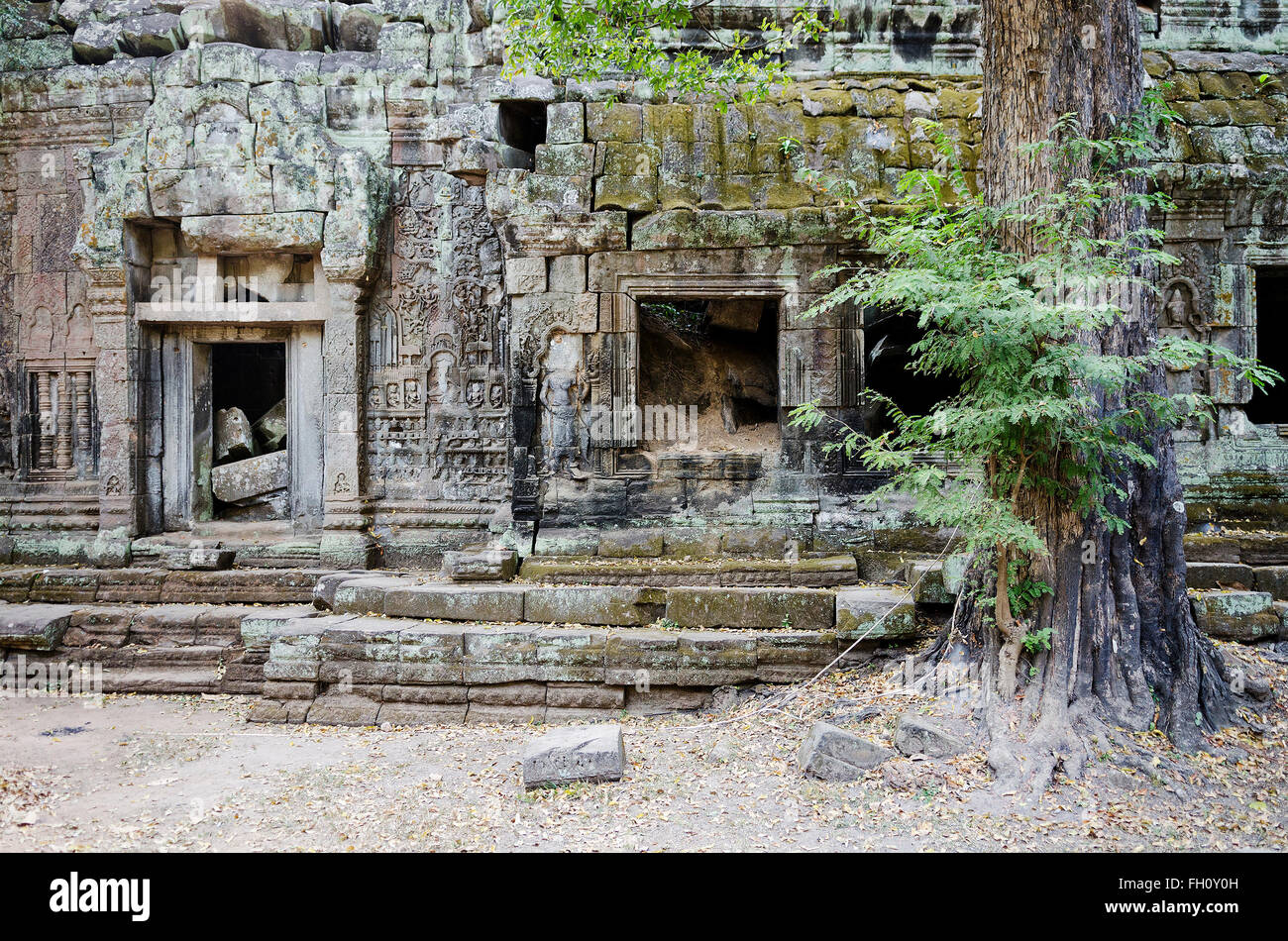 Angkor Wat complesso di rovine vicino a Siem Reap Cambogia Foto Stock