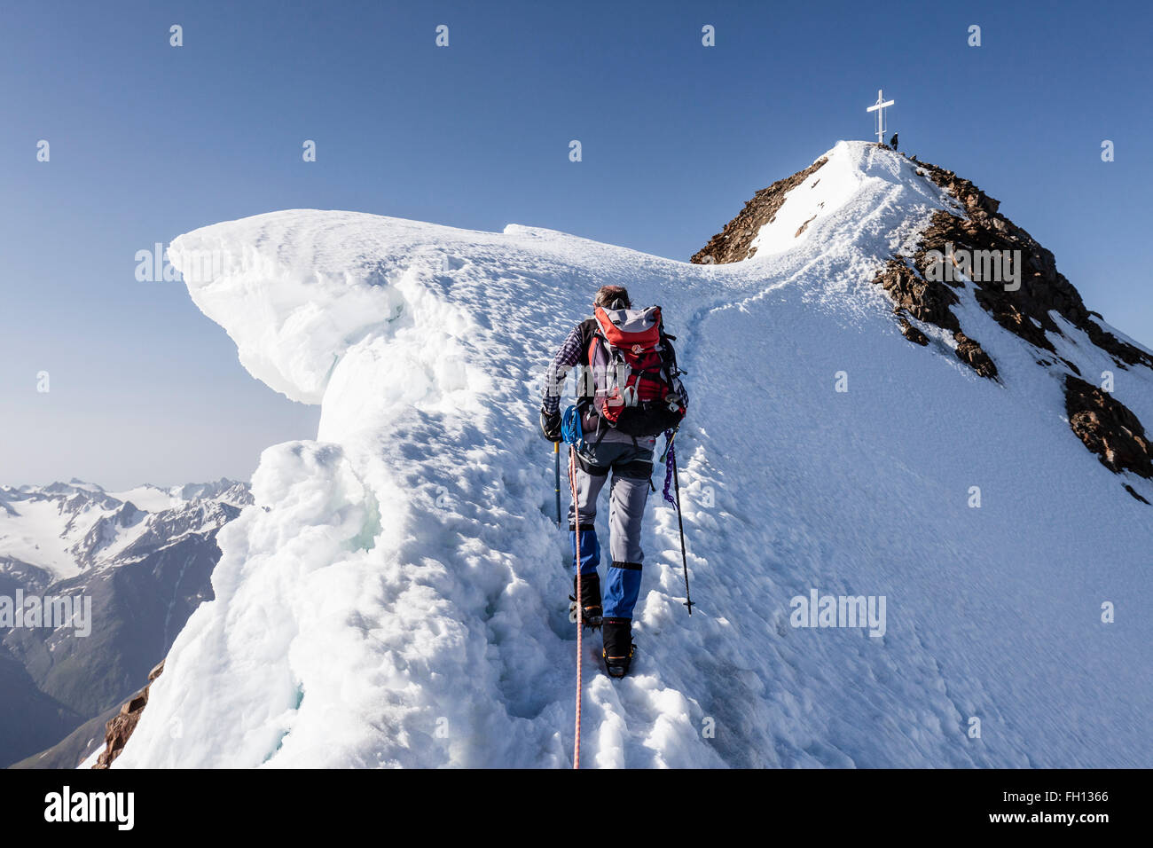 Alpinista Wildspitze ascendente, sulla cresta del vertice, neve cornicione, sfiato, Sölden, Ötztal, Ötztaler Alpen, Tirolo, Austria Foto Stock