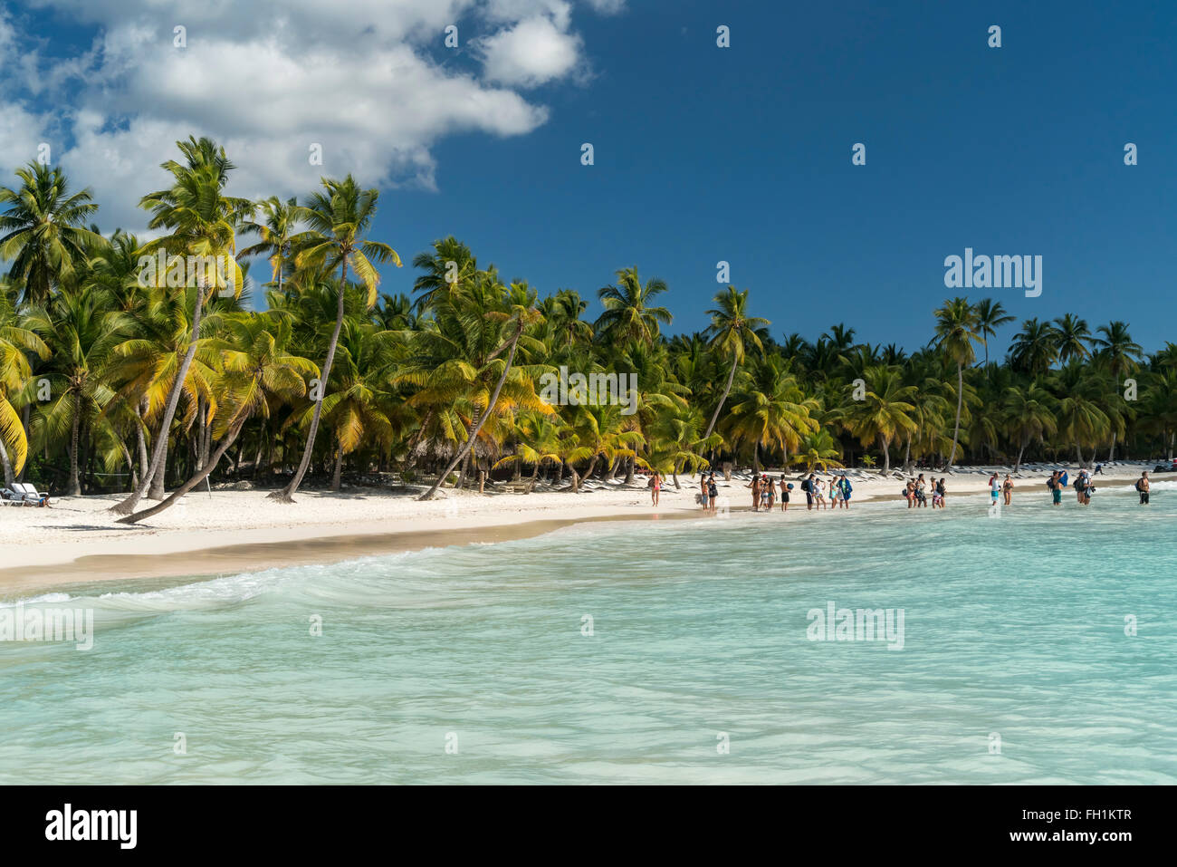 Sogno spiaggia sull'isola caraibica di Isla Saona, Repubblica Dominicana, Caraibi, America, Foto Stock