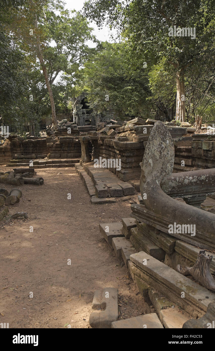 Alberi che crescono sulle rovine della Beng Mealea (o tappo) mealea tempio, Cambogia, in Asia. Foto Stock