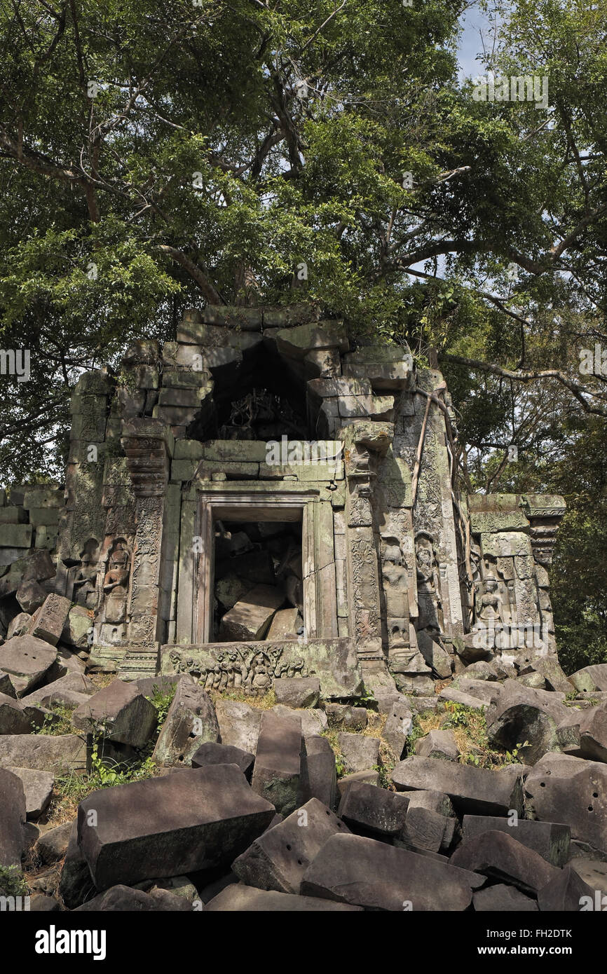 Alberi che crescono sulle rovine della Beng Mealea (o tappo) mealea tempio, Cambogia, in Asia. Foto Stock