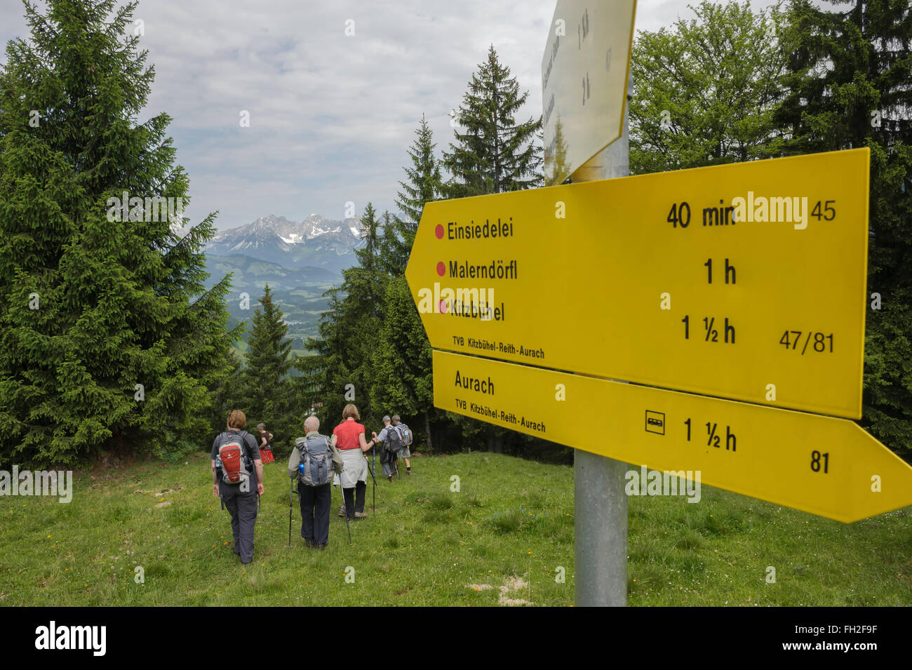 Gli escursionisti sulle Alpi di Kitzbühel. Kitzbühel. Austria. Europa Foto Stock