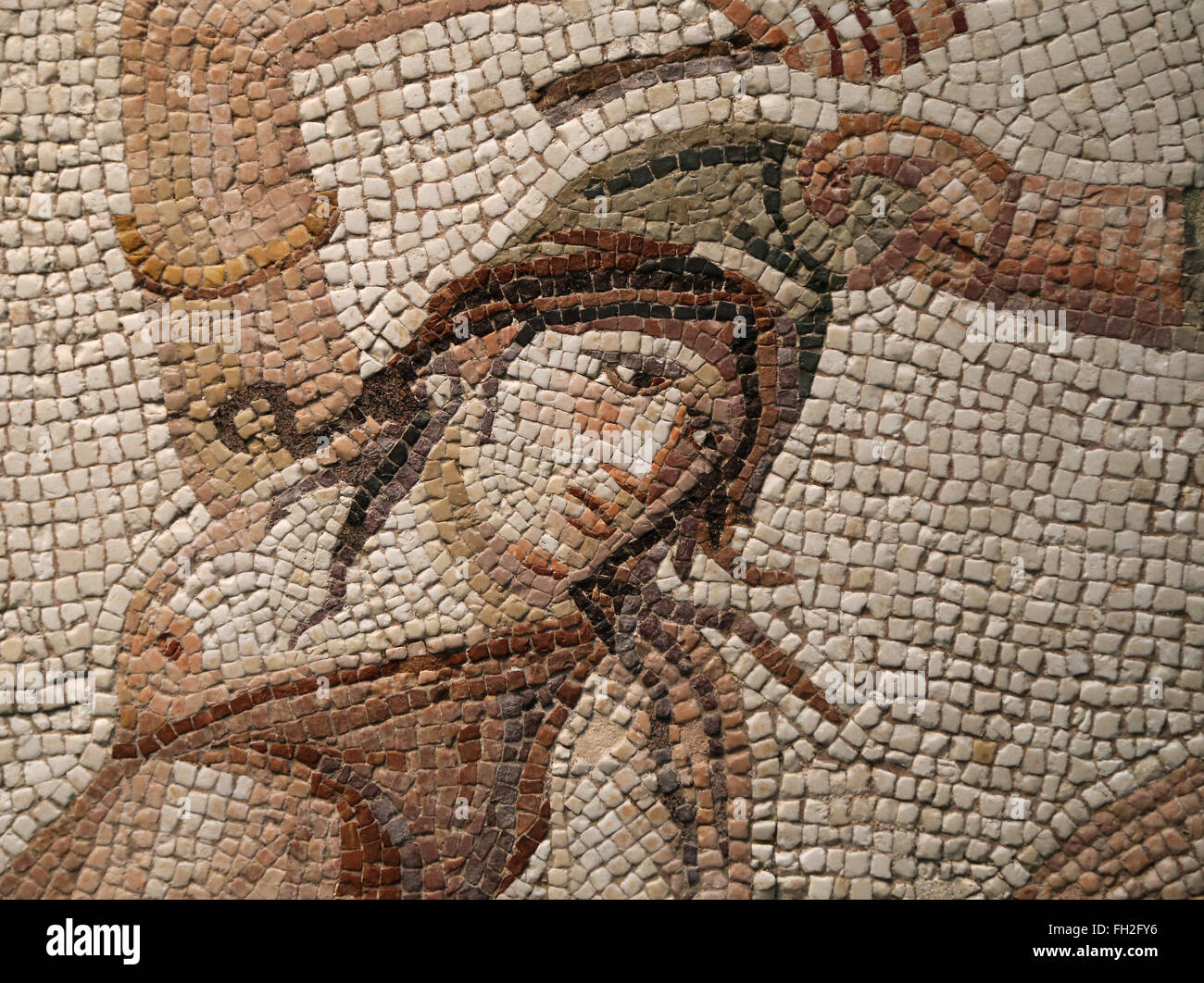 Amazzonomachia. Dettaglio di Amazon. Da Daphne, un sobborgo di Antiochia sull Oronte (ora Antkaya), bagno turco. Iv secolo D.C. Foto Stock