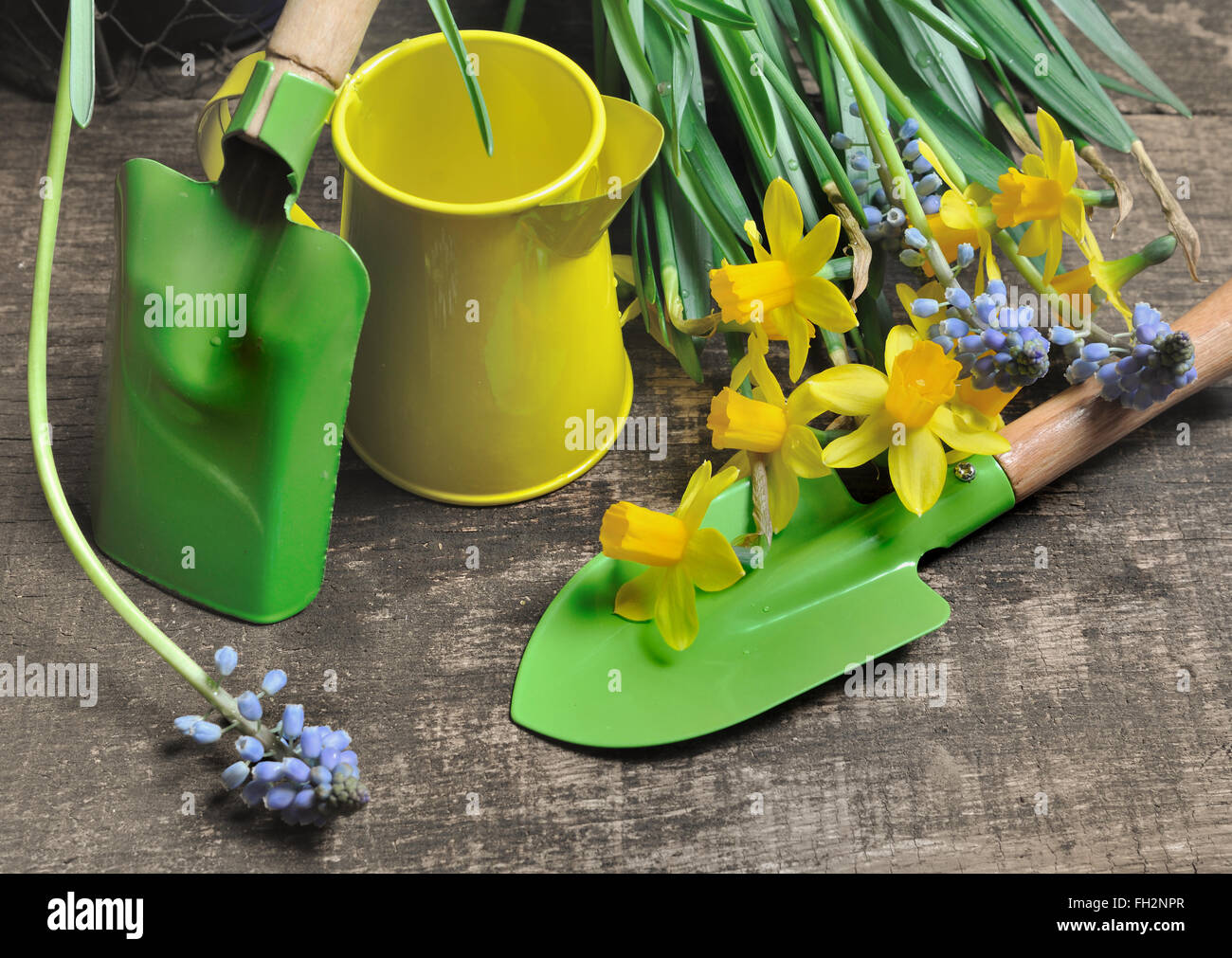 Piccoli Attrezzi da giardino e fiori di primavera su sfondo di legno Foto Stock