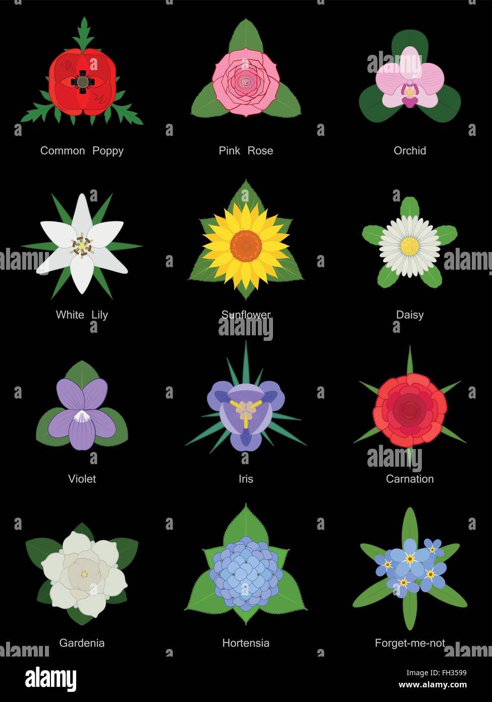 La raccolta di fiori, gradienti di n. Illustrazione Vettoriale